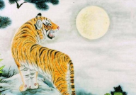 属虎的最怕的三个生肖,属虎人最忌讳的三大生肖揭秘