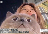 娱乐猫吃瓜,揭秘娱乐圈那些不为人知的幕后故事
