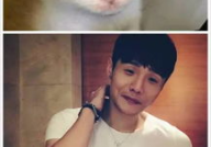 喵星娱乐吃瓜群众是谁啊,吃瓜群众背后的神秘力量