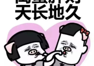 娱乐圈的吃瓜闺蜜组,揭秘幕后故事与情感纠葛