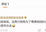 吃瓜娱乐账号起名,揭秘热门吃瓜娱乐账号背后的趣味故事